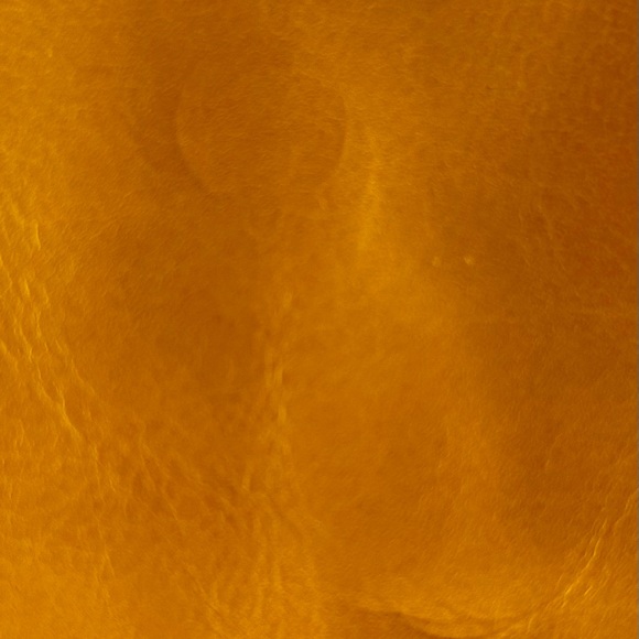 NWOT HOBO Lauren Clutch Wallet - Picture 12 of 12